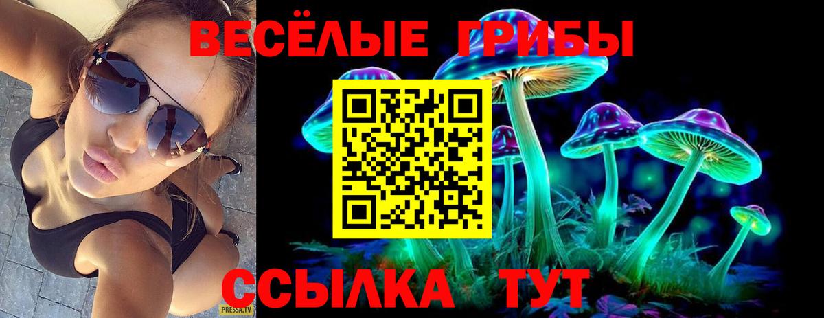 Глазов  Псилоцибиновые грибы Magic Shrooms  Вход с VPN  Псилоцибиновые грибы Psilocybine cubensis 